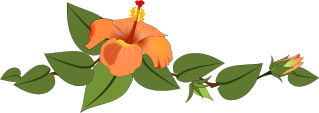 Hibiscus Divider