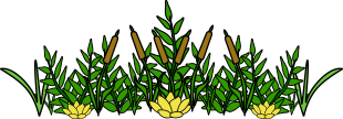 Pond weeds Divider